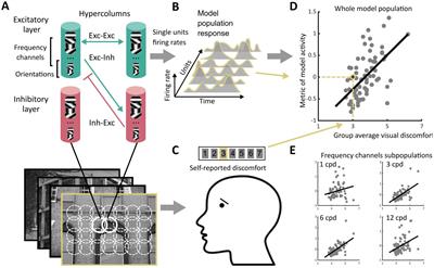 A mechanistic account of visual discomfort